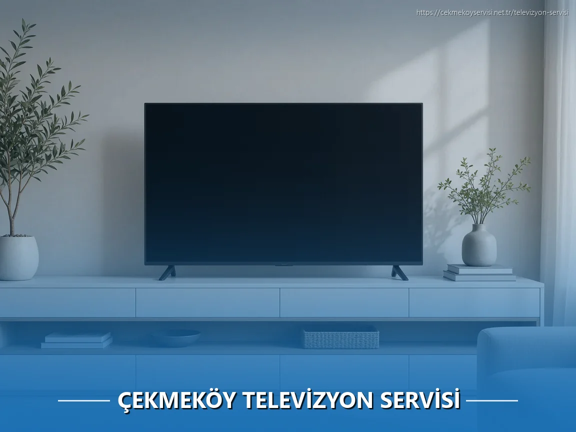 Çekmeköy Televizyon Servisi
