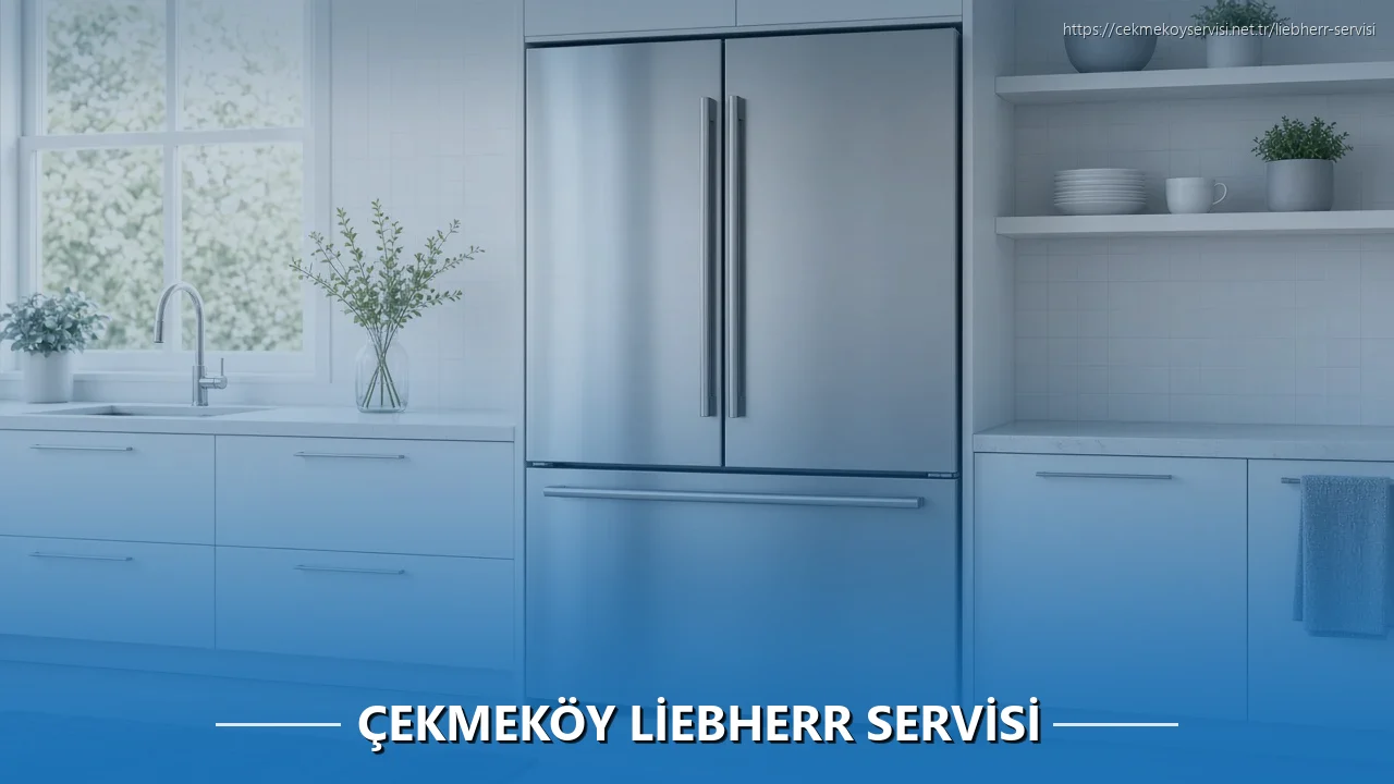 Çekmeköy Liebherr Servisi